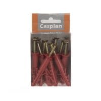 بسته-20-عددی-پیچ-و-رولپلاک-لبه-دار-کاسپین-سایز-4